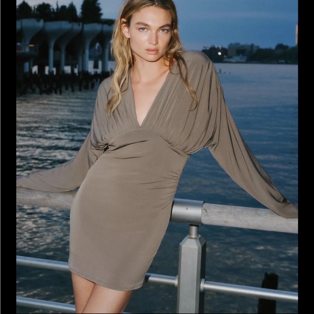 Zara limited edition voluminous Taupe Long-Sleeve Dress with back tie - Picture 12 of 14